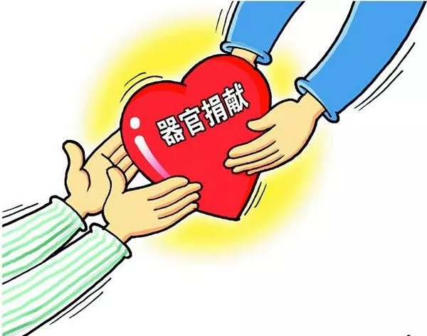 1.webp.jpg 1.webp.jpg